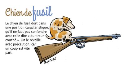chien